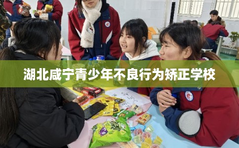 湖北咸宁青少年不良行为矫正学校