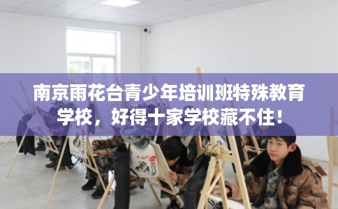南京雨花台青少年培训班特殊教育学校，好得十家学校藏不住！