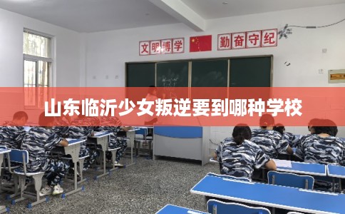 山东临沂少女叛逆要到哪种学校