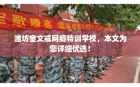 潍坊奎文戒网瘾特训学校，本文为您详细优选！