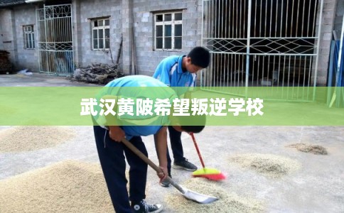 武汉黄陂希望叛逆学校 武汉黄陂希望叛逆学校