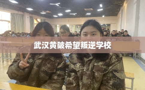 武汉黄陂希望叛逆学校 武汉黄陂希望叛逆学校