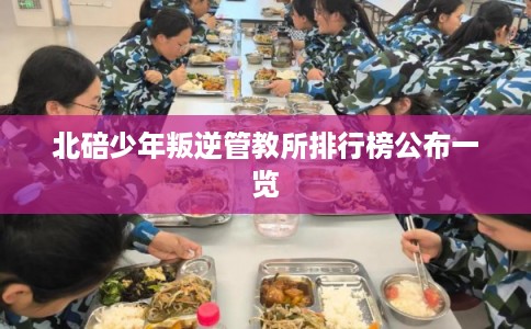 北碚少年叛逆管教所排行榜公布一览