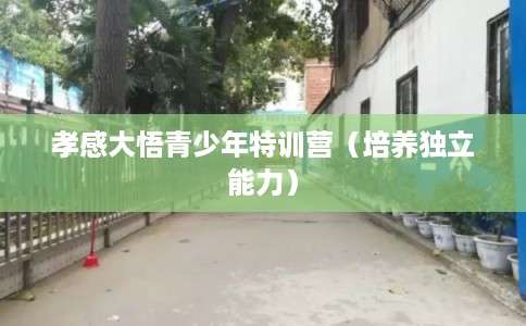孝感大悟青少年特训营(培养独立能力) 孝感大悟青少年特训营(培养独立能力)