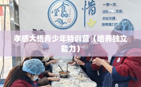 孝感大悟青少年特训营(培养独立能力) 孝感大悟青少年特训营(培养独立能力)