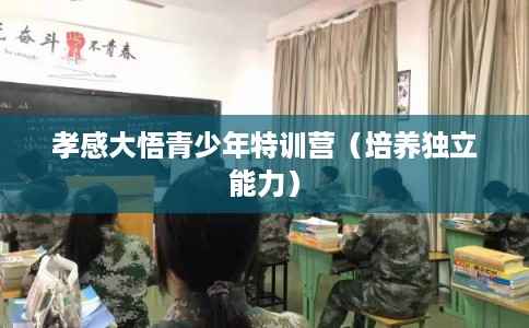 孝感大悟青少年特训营(培养独立能力) 孝感大悟青少年特训营(培养独立能力)