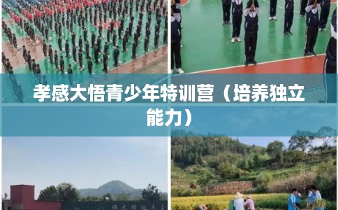 孝感大悟青少年特训营（培养独立能力）