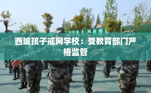 西城孩子戒网学校：受教育部门严格监管