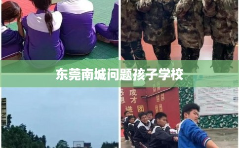 东莞南城问题孩子学校
