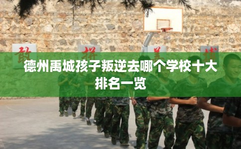 德州禹城孩子叛逆去哪个学校十大排名一览