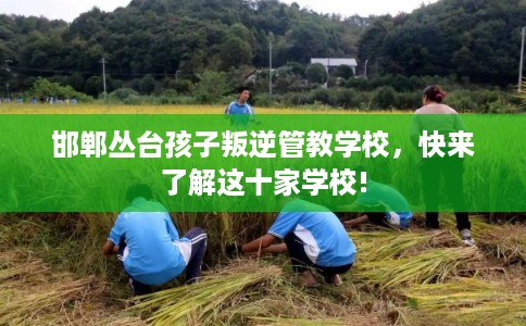 邯郸丛台孩子叛逆管教学校，快来了解这十家学校!