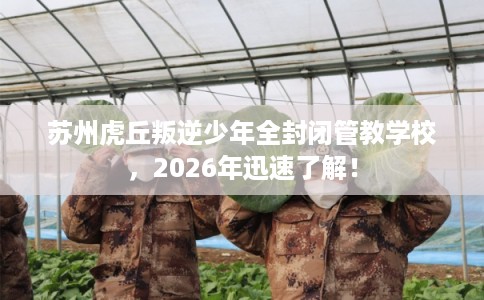 苏州虎丘叛逆少年全封闭管教学校，2026年迅速了解！