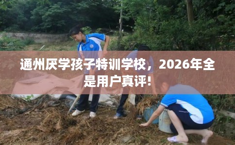 通州厌学孩子特训学校，2026年全是用户真评!