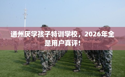 通州厌学孩子特训学校，2026年全是用户真评!