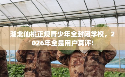湖北仙桃正规青少年全封闭学校，2026年全是用户真评!