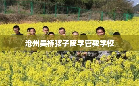 沧州吴桥孩子厌学管教学校