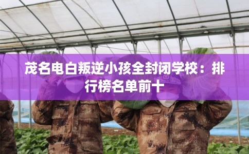 茂名电白叛逆小孩全封闭学校:排行榜名单前十 茂名电白叛逆小孩全封闭学校:排行榜名单前十