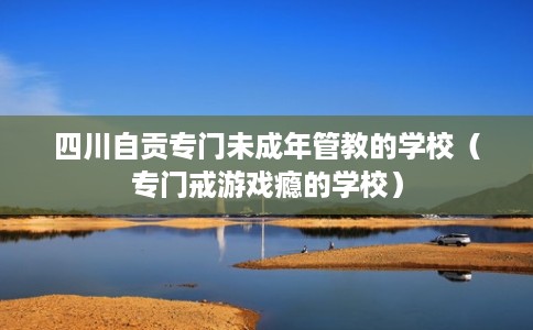 四川自贡专门未成年管教的学校（专门戒游戏瘾的学校）