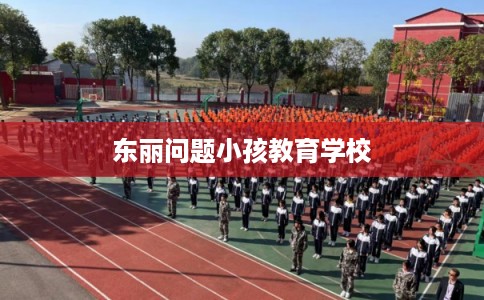 东丽问题小孩教育学校 东丽问题小孩教育学校