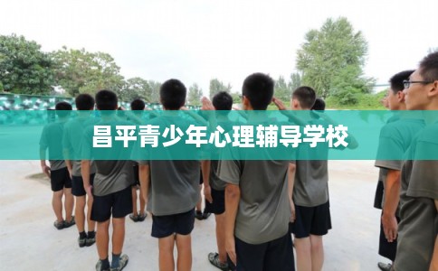 昌平青少年心理辅导学校