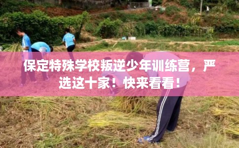 保定特殊学校叛逆少年训练营,严选这十家!快来看看! 保定特殊学校叛逆少年训练营,严选这十家!快来看看!