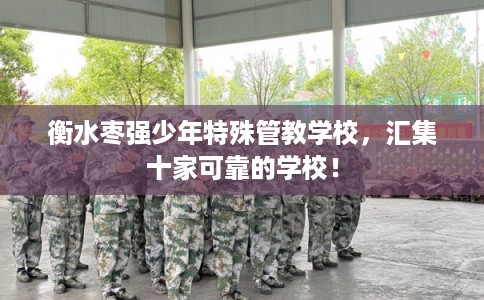 衡水枣强少年特殊管教学校，汇集十家可靠的学校！