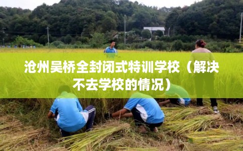 沧州吴桥全封闭式特训学校(解决不去学校的情况) 沧州吴桥全封闭式特训学校(解决不去学校的情况)