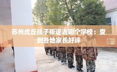 苏州虎丘孩子叛逆去哪个学校：受到各地家长好评