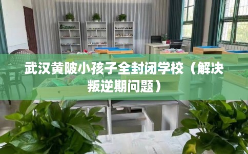 武汉黄陂小孩子全封闭学校（解决叛逆期问题）