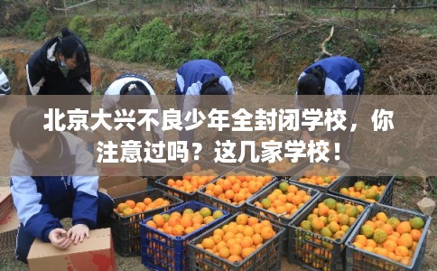北京大兴不良少年全封闭学校，你注意过吗？这几家学校！