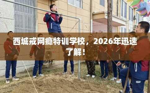西城戒网瘾特训学校，2026年迅速了解！