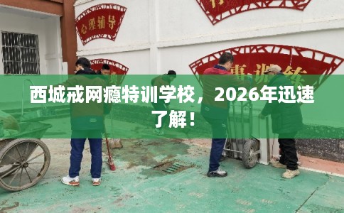 西城戒网瘾特训学校，2026年迅速了解！
