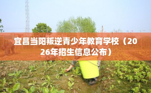 宜昌当阳叛逆青少年教育学校（2026年招生信息公布）