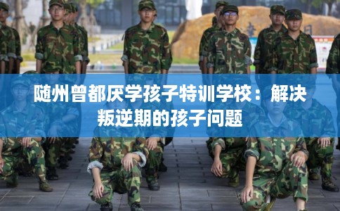 随州曾都厌学孩子特训学校：解决叛逆期的孩子问题