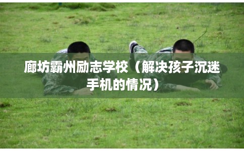 廊坊霸州励志学校（解决孩子沉迷手机的情况）