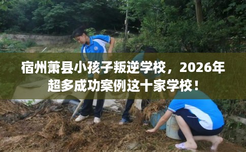 宿州萧县小孩子叛逆学校，2026年超多成功案例这十家学校！