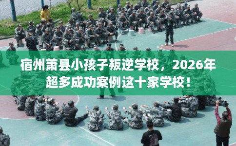 宿州萧县小孩子叛逆学校，2026年超多成功案例这十家学校！