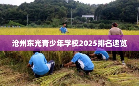 沧州东光青少年学校2025排名速览