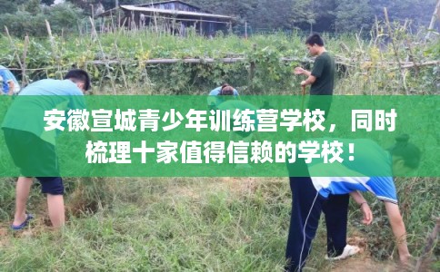 安徽宣城青少年训练营学校，同时梳理十家值得信赖的学校！