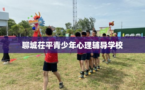 聊城茌平青少年心理辅导学校