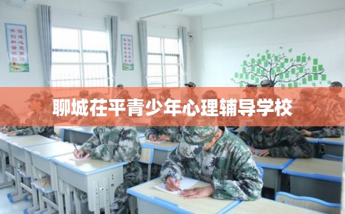 聊城茌平青少年心理辅导学校