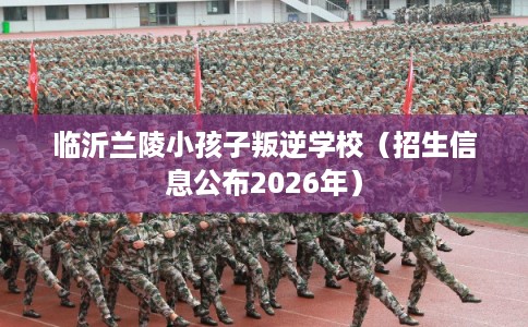 临沂兰陵小孩子叛逆学校（招生信息公布2026年）