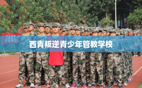 西青叛逆青少年管教学校