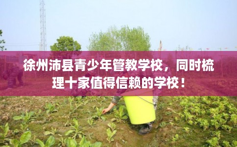 徐州沛县青少年管教学校，同时梳理十家值得信赖的学校！