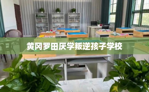 黄冈罗田厌学叛逆孩子学校