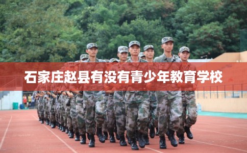 石家庄赵县有没有青少年教育学校