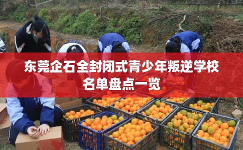 东莞企石全封闭式青少年叛逆学校名单盘点一览