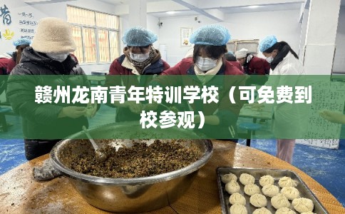 赣州龙南青年特训学校（可免费到校参观）