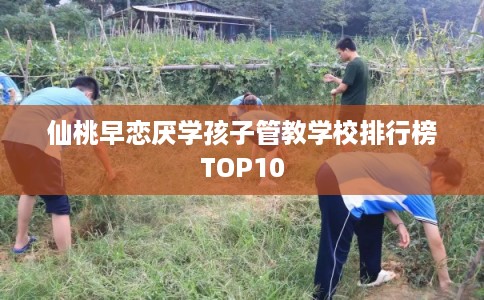 仙桃早恋厌学孩子管教学校排行榜TOP10 仙桃早恋厌学孩子管教学校排行榜TOP10