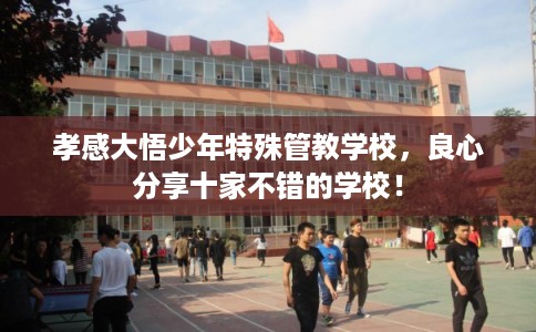 孝感大悟少年特殊管教学校，良心分享十家不错的学校！